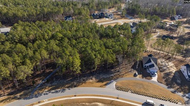 PLEASE VIEW THE VIRTUAL TOUR LINK. Lot 119 Stewart Landing Drive - photo 14