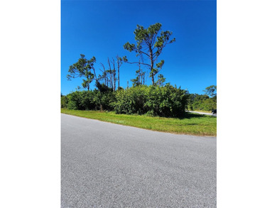Build your Florida dream on this OVERSIZED CORNER lot located in - photo 4