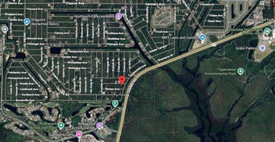 Build your Florida dream on this OVERSIZED CORNER lot located in - photo 8