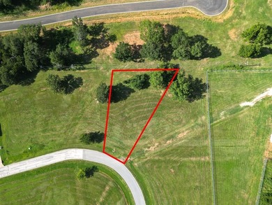 Lake Texoma Lot For Sale in Gordonville Texas