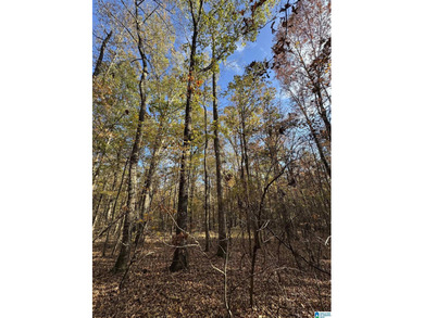 CONTINGENT CONTRACT FEB. 24, 2026. EXTREMELY RARE OPPORTUNITY - - photo 11