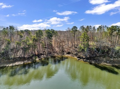 ATTENTION INVESTORS & DEVELOPERS! This rare 98-acre Smith Lake - photo 15
