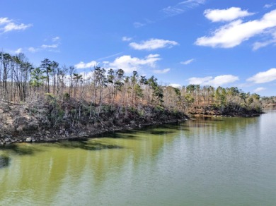 ATTENTION INVESTORS & DEVELOPERS! This rare 98-acre Smith Lake - photo 16