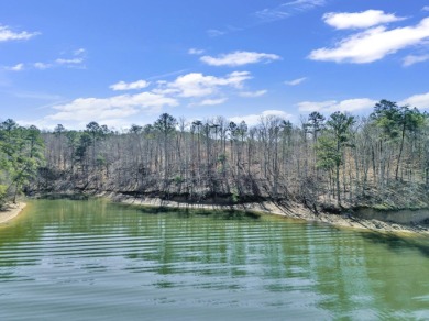 ATTENTION INVESTORS & DEVELOPERS! This rare 98-acre Smith Lake - photo 17