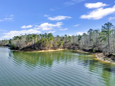 ATTENTION INVESTORS & DEVELOPERS! This rare 98-acre Smith Lake - photo 18
