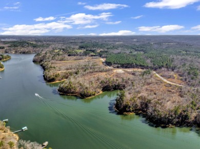 ATTENTION INVESTORS & DEVELOPERS! This rare 98-acre Smith Lake - photo 19