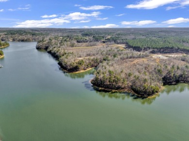 ATTENTION INVESTORS & DEVELOPERS! This rare 98-acre Smith Lake - photo 26