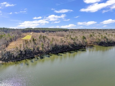 ATTENTION INVESTORS & DEVELOPERS! This rare 98-acre Smith Lake - photo 27