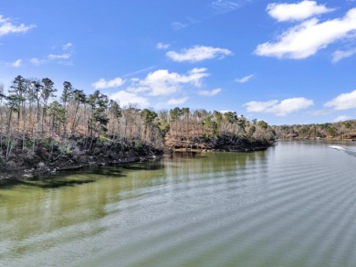 ATTENTION INVESTORS & DEVELOPERS! This rare 98-acre Smith Lake - photo 28