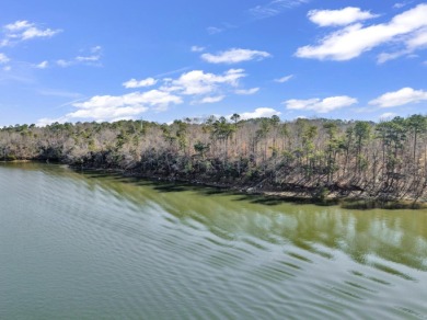 ATTENTION INVESTORS & DEVELOPERS! This rare 98-acre Smith Lake - photo 29