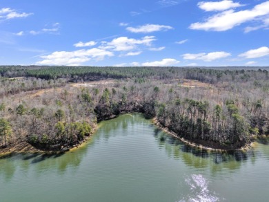 ATTENTION INVESTORS & DEVELOPERS! This rare 98-acre Smith Lake - photo 30