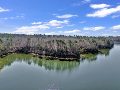 ATTENTION INVESTORS & DEVELOPERS! This rare 98-acre Smith Lake - photo 31