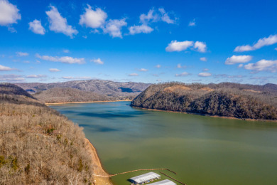 Gorgeous Views Of Cherokee Lake - photo 3