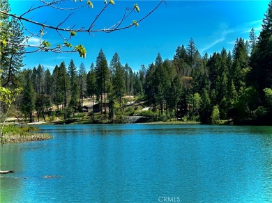 Lake Lot For Sale in Berry Creek, California