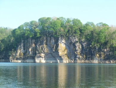 Gorgeous Views Of Cherokee Lake - photo 12
