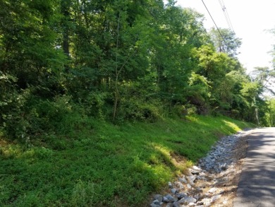 Gorgeous Views Of Cherokee Lake - photo 18