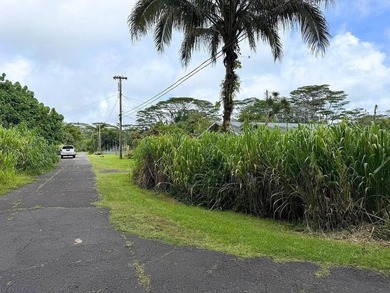 Great income opportunity on 1 acre with two homes on one lot - photo 8