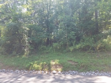 Gorgeous Views Of Cherokee Lake - photo 15
