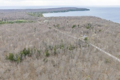 Beautifully wooded lot within a short distance to Waterview - photo 13