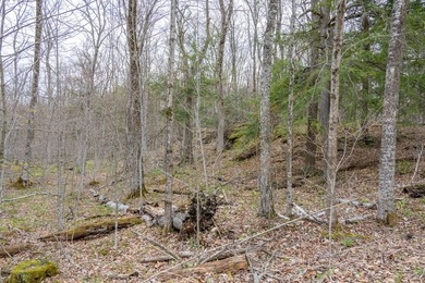 Beautifully wooded lot within a short distance to Waterview - photo 16
