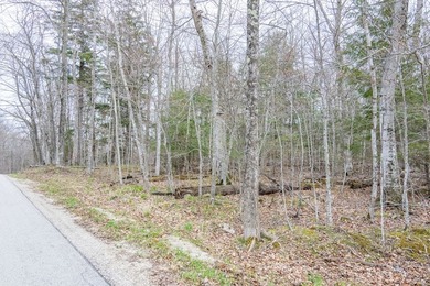 Beautifully wooded lot within a short distance to Waterview - photo 17