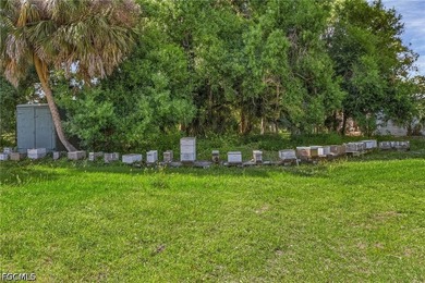 Walker Farms, A Rare Legacy Business Opportunity in SW Florida - photo 24