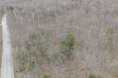 Beautifully wooded lot within a short distance to Waterview - photo 28