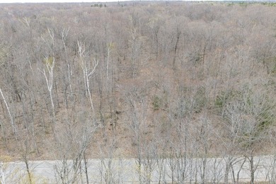 Beautifully wooded lot within a short distance to Waterview - photo 30