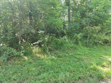 Gorgeous Views Of Cherokee Lake - photo 17