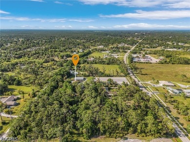 Walker Farms, A Rare Legacy Business Opportunity in SW Florida - photo 44