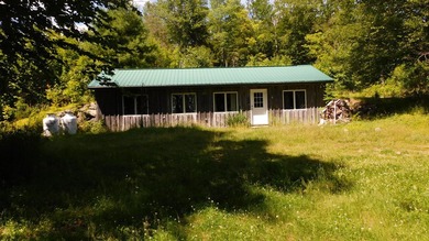 17 +/- acres with 700' +/- shorefront on Boyden's Lake with a - photo 1