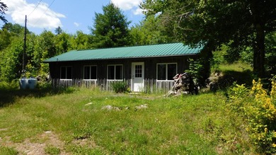 17 +/- acres with 700' +/- shorefront on Boyden's Lake with a - photo 2