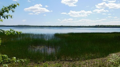 17 +/- acres with 700' +/- shorefront on Boyden's Lake with a - photo 9
