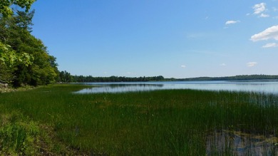 17 +/- acres with 700' +/- shorefront on Boyden's Lake with a - photo 10