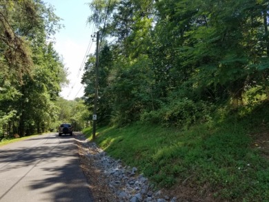 Gorgeous Views Of Cherokee Lake - photo 16