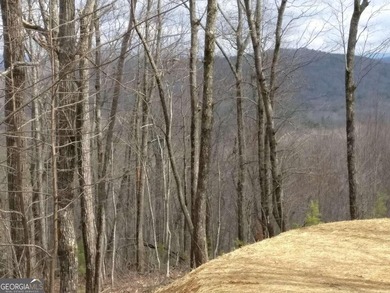 As you journey down a long, private drive, you'll be enveloped - photo 13