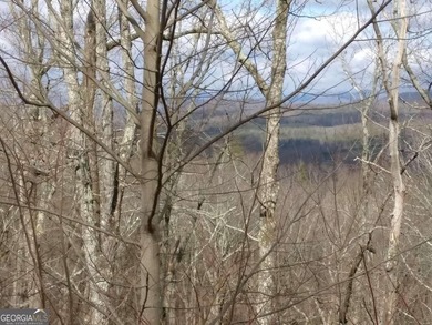 As you journey down a long, private drive, you'll be enveloped - photo 14