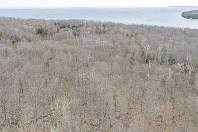 Beautifully wooded lot within a short distance to Waterview - photo 15