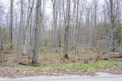 Beautifully wooded lot within a short distance to Waterview - photo 16