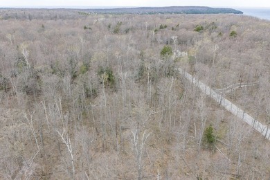 Beautifully wooded lot within a short distance to Waterview - photo 20