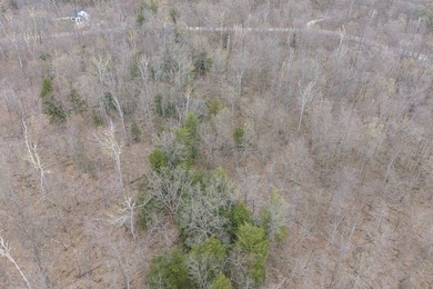 Beautifully wooded lot within a short distance to Waterview - photo 21