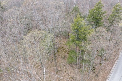 Beautifully wooded lot within a short distance to Waterview - photo 22