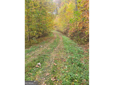 As you journey down a long, private drive, you'll be enveloped - photo 23