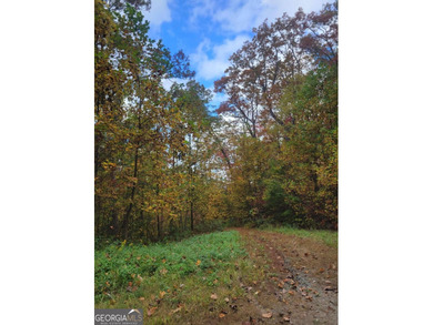 As you journey down a long, private drive, you'll be enveloped - photo 24