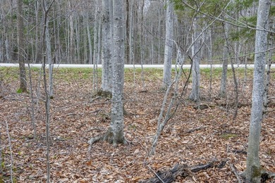 Beautifully wooded lot within a short distance to Waterview - photo 26