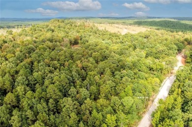 Lake Acreage For Sale in Broken Bow, Oklahoma