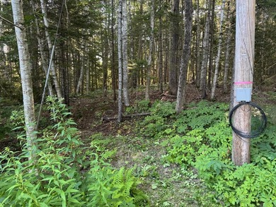 This 1.72-acre lot is located centrally to Boothbay Harbor and - photo 4
