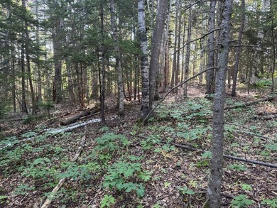 This 1.72-acre lot is located centrally to Boothbay Harbor and - photo 5