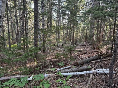 This 1.72-acre lot is located centrally to Boothbay Harbor and - photo 6