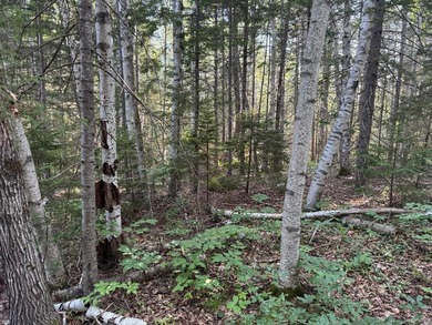 This 1.72-acre lot is located centrally to Boothbay Harbor and - photo 7